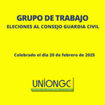 RESUMEN DEL GRUPO DE TRABAJO SOBRE LAS ELECCIONES AL CONSEJO 2025 – GUARDIA CIVIL