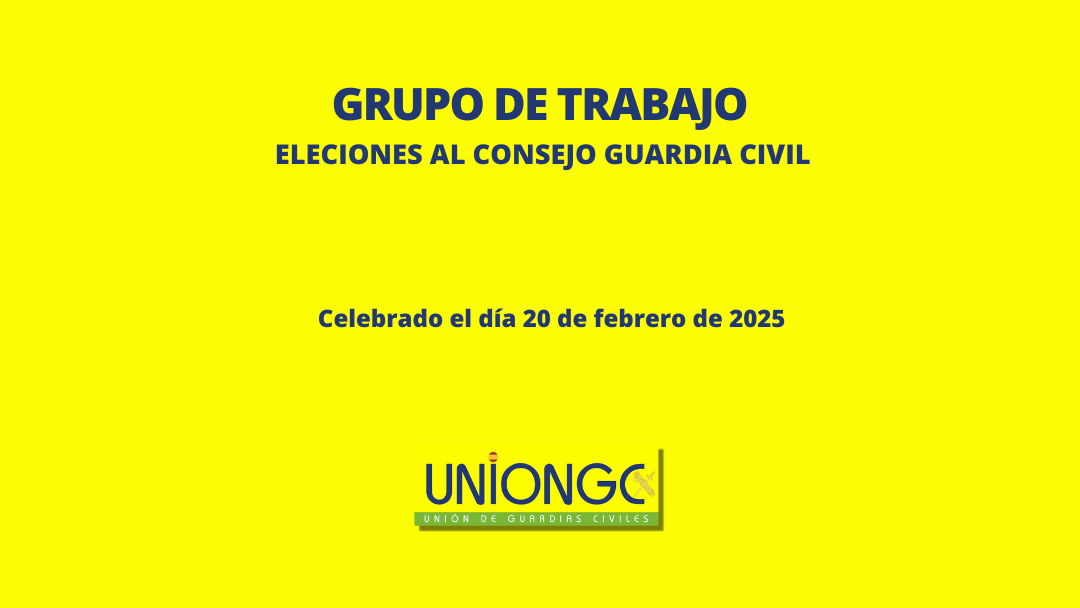 RESUMEN DEL GRUPO DE TRABAJO SOBRE LAS ELECCIONES AL CONSEJO 2025 – GUARDIA CIVIL